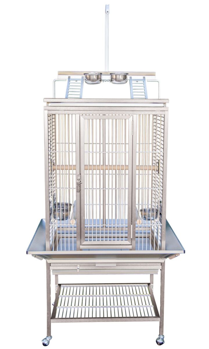 Product Spotlight: 5 Bird Products to Know About